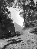 Caminho rural, em local não identificado, na ilha da Madeira