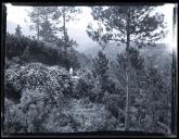 Jean Ruby Blanche Shaw numa paisagem florestal, em local não identificado, na Ilha da Madeira