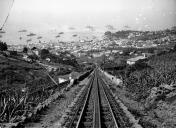 Carris do comboio da "Companhia do Caminho de Ferro do Monte", Freguesia de Santa Luzia, Concelho do Funchal