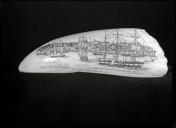 Dente de cachalote com a representação da linha de costa de "NEW BEDFORD", gravação de Manuel de Paiva Cunha