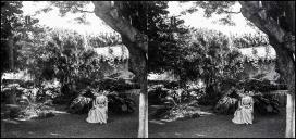 Retrato da viscondessa de Vale Paraíso, Maria Conceição da Costa Lira, num jardim, em local não identificado